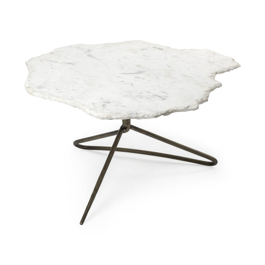 Dolce Marble Free Form Coffee Table